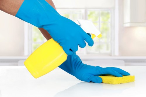 Local oven cleaning for a premium apartment kitchen in Belgravia