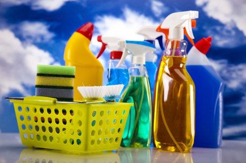 Cleaner maintaining a Belgravia townhouse interior