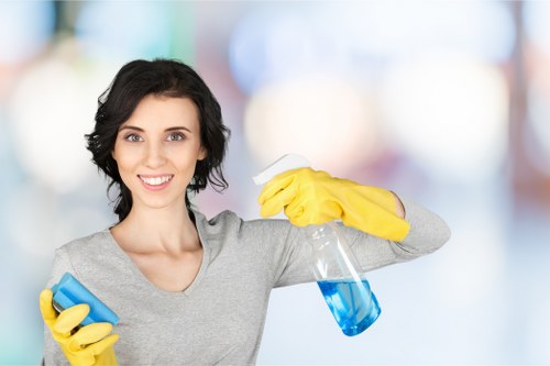 Domestic cleaning service for a Belgravia townhouse interior