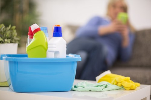 Cleaner caring for luxury surfaces in a Belgravia home