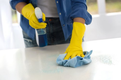 Professional carpet cleaning equipment for a Belgravia home