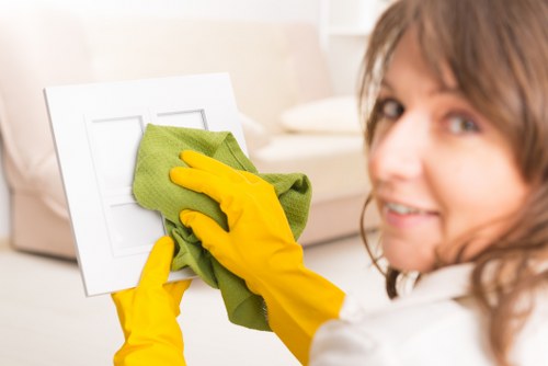 Professional pet stain removal equipment used in a Belgravia apartment