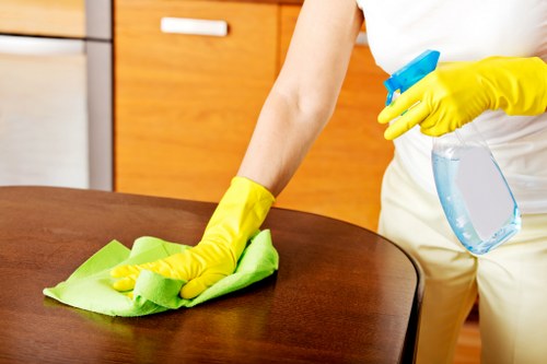 Detailed cleaning of renovated kitchen surfaces in Belgravia